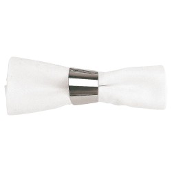 КОЛЬЦО ДЛЯ САЛФЕТКИ PADERNO МЕТАЛЛ 42955-00